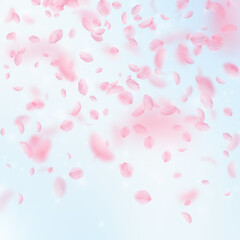 Sakura petals falling down. Romantic pink flowers gradient. Flying petals on blue sky square background. Love, romance concept. Admirable wedding invitation.