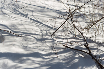 abstract winter scenery