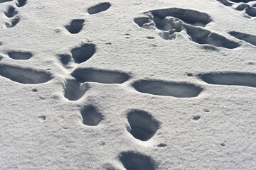 snow on the ground with foot prints