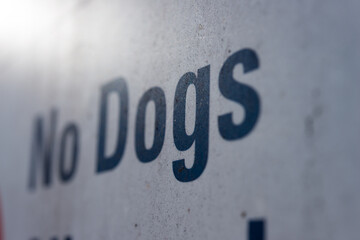 close up detail of no dogs allowed sign - winter