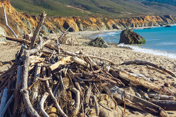 A large pile of wood on a beautiful beach