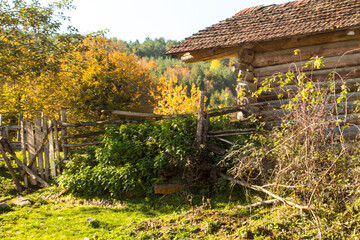 old house in the woods