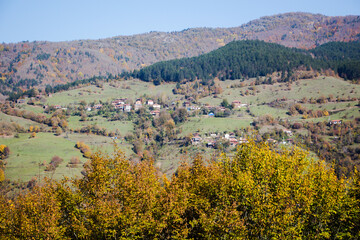 houses in nature away from the city