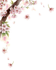 アナログ水彩桜の枝に咲く花