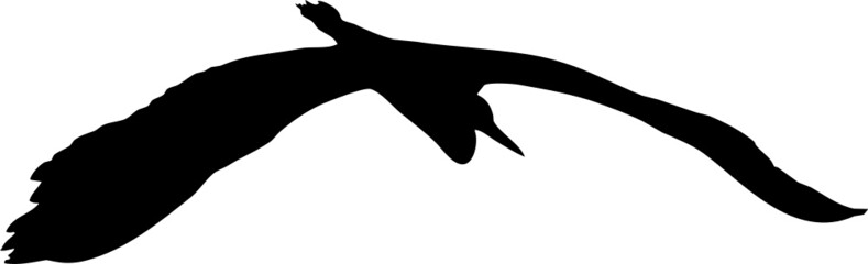 Oiseau en vol, vecteur pour illustration, animation, conception. En noir et silhouette sur fond transparent. Héron cendré. 