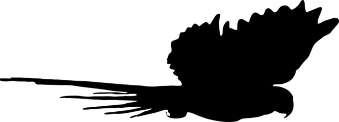 Perruche ou perroquet en vol, vecteur noir en silhouette sur fond transparent 