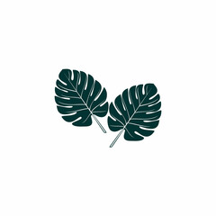 Philo monstera leaf logo. beautiful dark green decorative leaves
