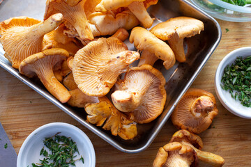 A top down view of a tray of chanterelle mushrooms.