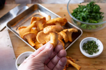 A view of a hand holding a chanterelle mushroom.