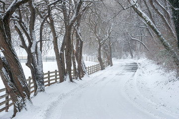 Empty rural snow dusted road with fences and tree canopy