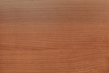 wooden text. background from a tree for inscriptions.