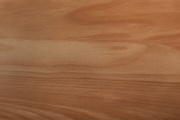 wooden text. background from a tree for inscriptions.