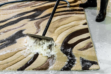 professional carpet cleaning