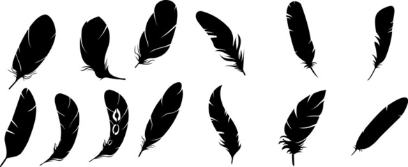 soft bird plumage set. Big set of bird feathers design. fluffy swan. Pen icons design. set of bird feathers design