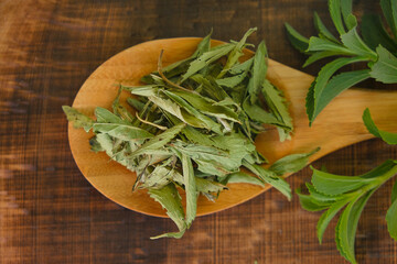 Stevioside Sweetener.Stevia green twig into in dry stevia leaves in a wooden spoon on a wooden brown background.View from above.Stevia plants.Organic natural low calorie sweetener. 