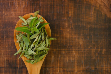  Stevia rebaudiana twig into in dry stevia leaves in a wooden spoon on a wooden brown...