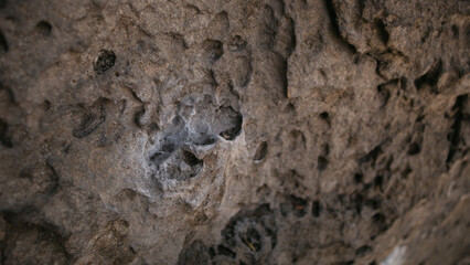 Textured rock surface with chalk mark from rock climbers