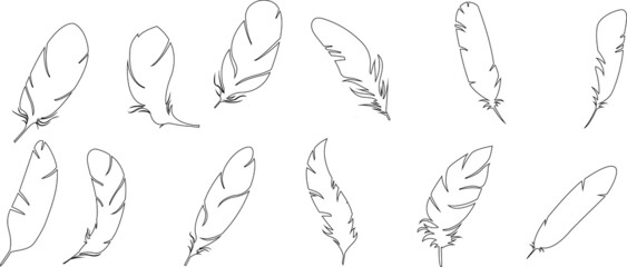 Feathers line set. black feather line set. Falling flying fluffy line swan. bird plumage design. Pen icon vector design - obrazy, fototapety, plakaty
