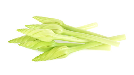 moonflower isolated on white background