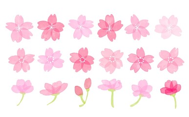 水彩画。水彩タッチの桜イラストセット。春の色んな形の桜パーツセット。Watercolor. Sakura illustration set with watercolor touch. Sakura parts set of various shapes in spring.