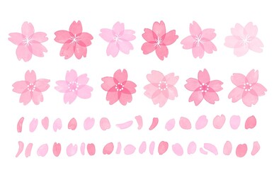 水彩画。水彩タッチの桜イラストセット。春の色んな形の桜パーツセット。Watercolor. Sakura illustration set with watercolor touch. Sakura parts set of various shapes in spring.
