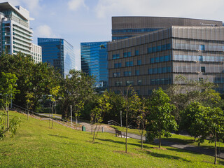 Fototapeta na wymiar Beautiful green city park surrounded by modern office buildings