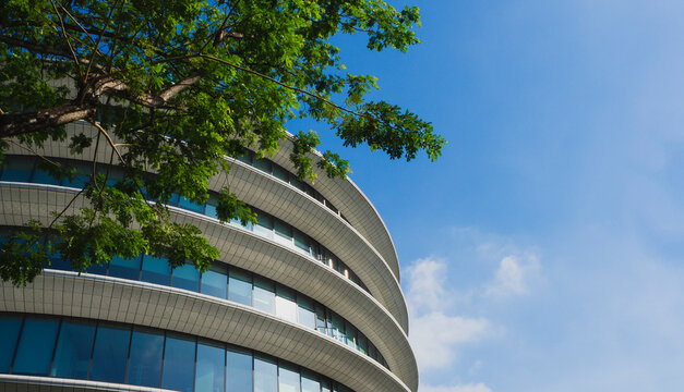 Modern office building with greenery
