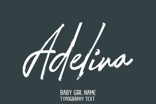 Adelina Baby Girl Name in Stylish Cursive Brush Typography Text on Grey Background