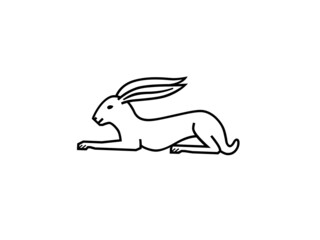 Rabbit outline, shape, drawing or sketch isolated on white background. 