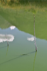 PAISAJE REFLEJADO EN EL AGUA
