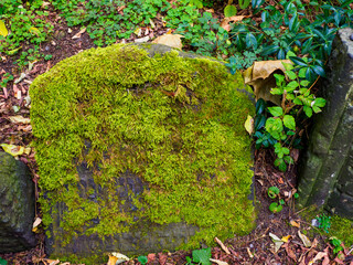 Ancient moss-covered gravestone