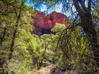 Stark red-rock cliffs above a forested canyon