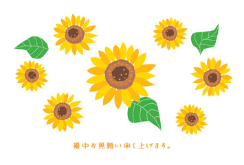 Obraz premium ヒマワリの暑中見舞いのイラスト