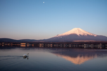 富士山 -Mt. Fuji- 