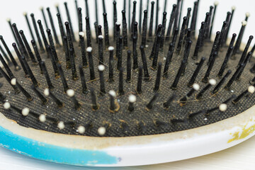detail from a dirty woman's comb 
