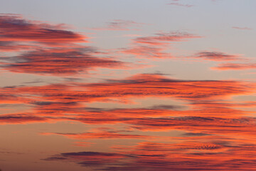Fototapeta premium Dramatic sunset sky with saturated orange clouds with sunlight.