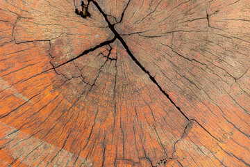 Rough background of aged wood with crack.