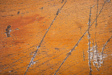 Brown background of painted cement with texture.