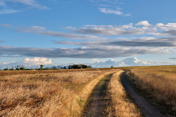 A dirt road going through a field of dry grass under a cloud filled blue sky.