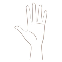 女性の左の手のひら