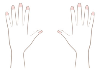 女性の両手の甲