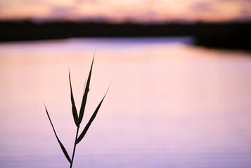 Obraz premium Onkaparinga at sunset