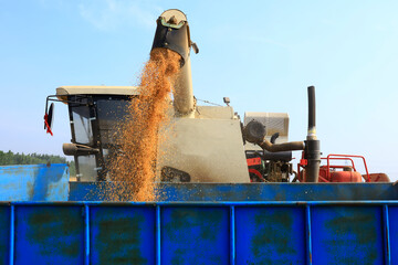 combine harvester working on a wheat field