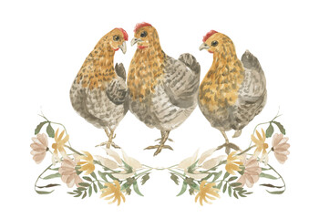Watercolor illustration of three hens in a frame of wildflowers