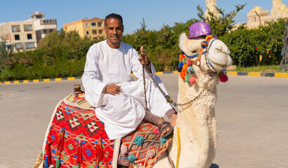 Traditional Arab man smiling while sitting on a white camel in a tourist area. Egypt. Middle East