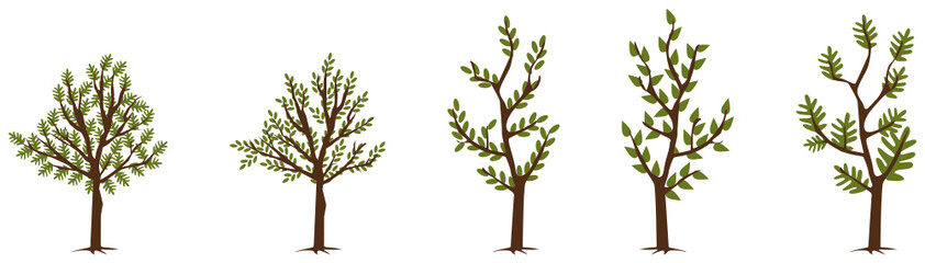Cute colorful vector tree icon set, There are different types of trees in different pattern.