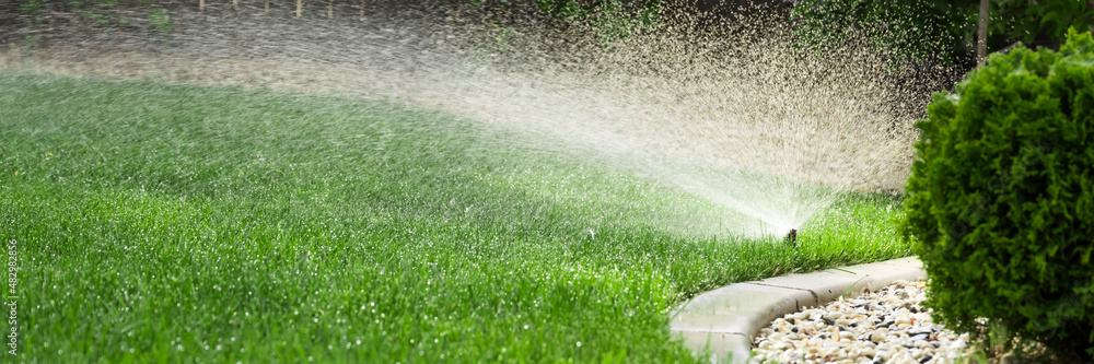 Poster Sprinklers watering grass, green lawn in garden