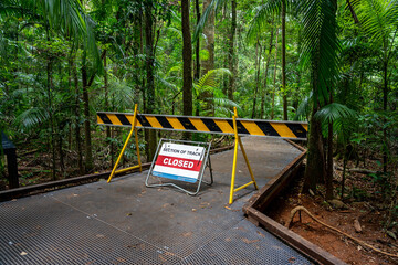 Road Closed sign blocking the road to a walking track in a forest