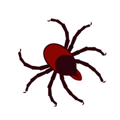 Tick, vector illustration, flat cartoon color design, isolated on white background, eps 10.