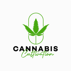 Vintage retro cbd cannabis marijuana hemp leaf farm cultivation logo design